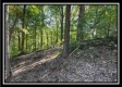 The Caves at Bohemian Woods property photo