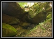 The Caves at Bohemian Woods property photo