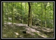 The Caves at Bohemian Woods property photo