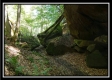 The Caves at Bohemian Woods property photo