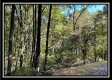 The Caves at Bohemian Woods property photo