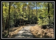 The Caves at Bohemian Woods property photo