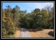 The Caves at Bohemian Woods property photo