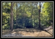 The Caves at Bohemian Woods property photo