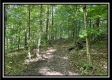 The Caves at Bohemian Woods property photo