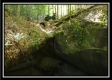 The Caves at Bohemian Woods property photo