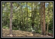 The Caves at Bohemian Woods property photo