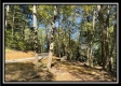 The Caves at Bohemian Woods property photo