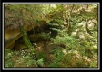 The Caves at Bohemian Woods property photo