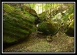 The Caves at Bohemian Woods property photo
