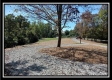 Tract 3 - Bohemian Woods property photo