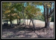 Tract 3 - Bohemian Woods property photo