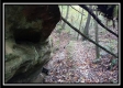 Tract 3 - Bohemian Woods property photo