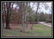 Tract 3 - Bohemian Woods property photo
