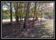 Tract 3 - Bohemian Woods property photo