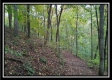 Tract 3 - Bohemian Woods property photo