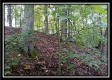 Tract 3 - Bohemian Woods property photo