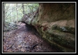 Tract 3 - Bohemian Woods property photo