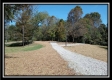 More of Tract 3 - Bohemian Woods