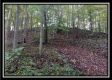 Tract 3 - Bohemian Woods property photo