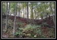 Tract 3 - Bohemian Woods property photo
