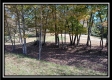 Tract 3 - Bohemian Woods property photo