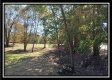 More of Tract 3 - Bohemian Woods