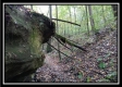 Tract 3 - Bohemian Woods property photo