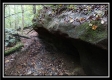 More of Tract 3 - Bohemian Woods