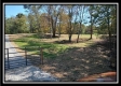 More of Tract 3 - Bohemian Woods