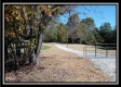 Tract 3 - Bohemian Woods property photo