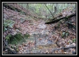 Tract 3 - Bohemian Woods property photo