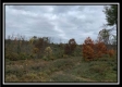 Seclusion Cabin - Tract 3 at Deer Ridge property photo