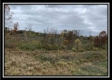 Seclusion Cabin - Tract 3 at Deer Ridge property photo