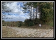 Seclusion Cabin - Tract 3 at Deer Ridge property photo