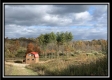 Seclusion Cabin - Tract 3 at Deer Ridge property photo