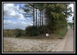 Seclusion Cabin - Tract 3 at Deer Ridge property photo