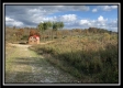 Seclusion Cabin - Tract 3 at Deer Ridge property photo