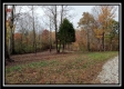Tract 1 - Bohemian Woods property photo