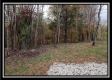 Tract 1 - Bohemian Woods property photo