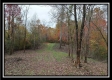 Tract 1 - Bohemian Woods property photo