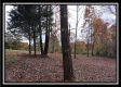 Tract 1 - Bohemian Woods property photo