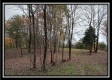 Tract 1 - Bohemian Woods property photo