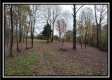 Tract 1 - Bohemian Woods property photo