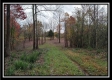 Tract 1 - Bohemian Woods property photo