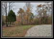 Tract 1 - Bohemian Woods property photo