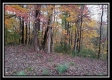 Tract 1 - Bohemian Woods property photo