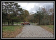 More of Tract 1 - Bohemian Woods