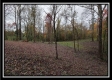 Tract 1 - Bohemian Woods property photo