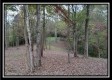 More of Tract 1 - Bohemian Woods
